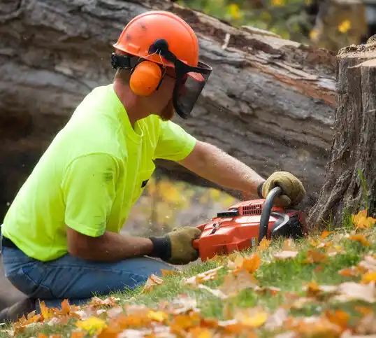 tree services Opelousas